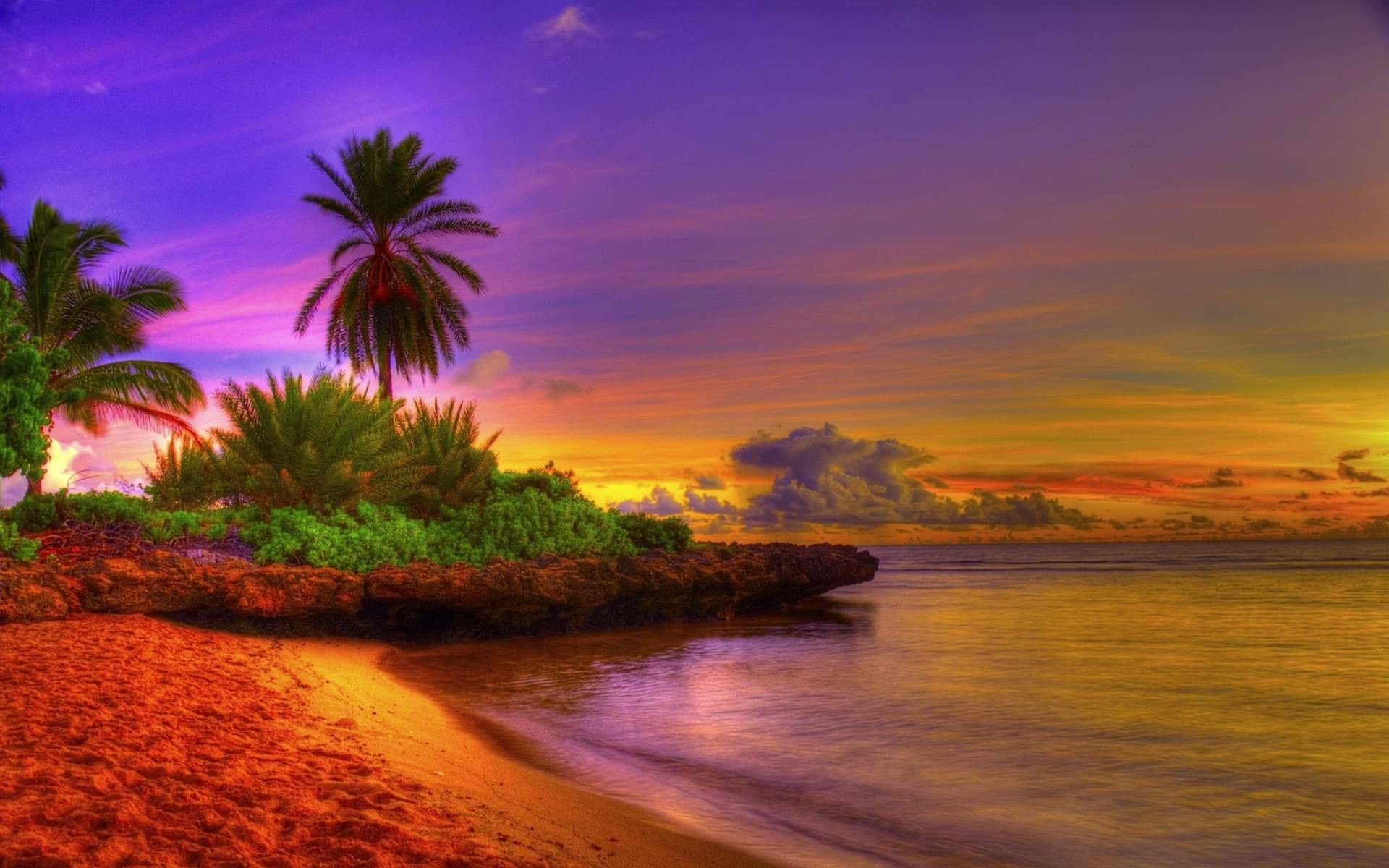 Tropical Island 桌布 壁紙 — 充滿活力的熱帶日落將天空染成紫色、橙色和黃色，平靜的海洋上棕櫚樹在沙灘上形成剪影。