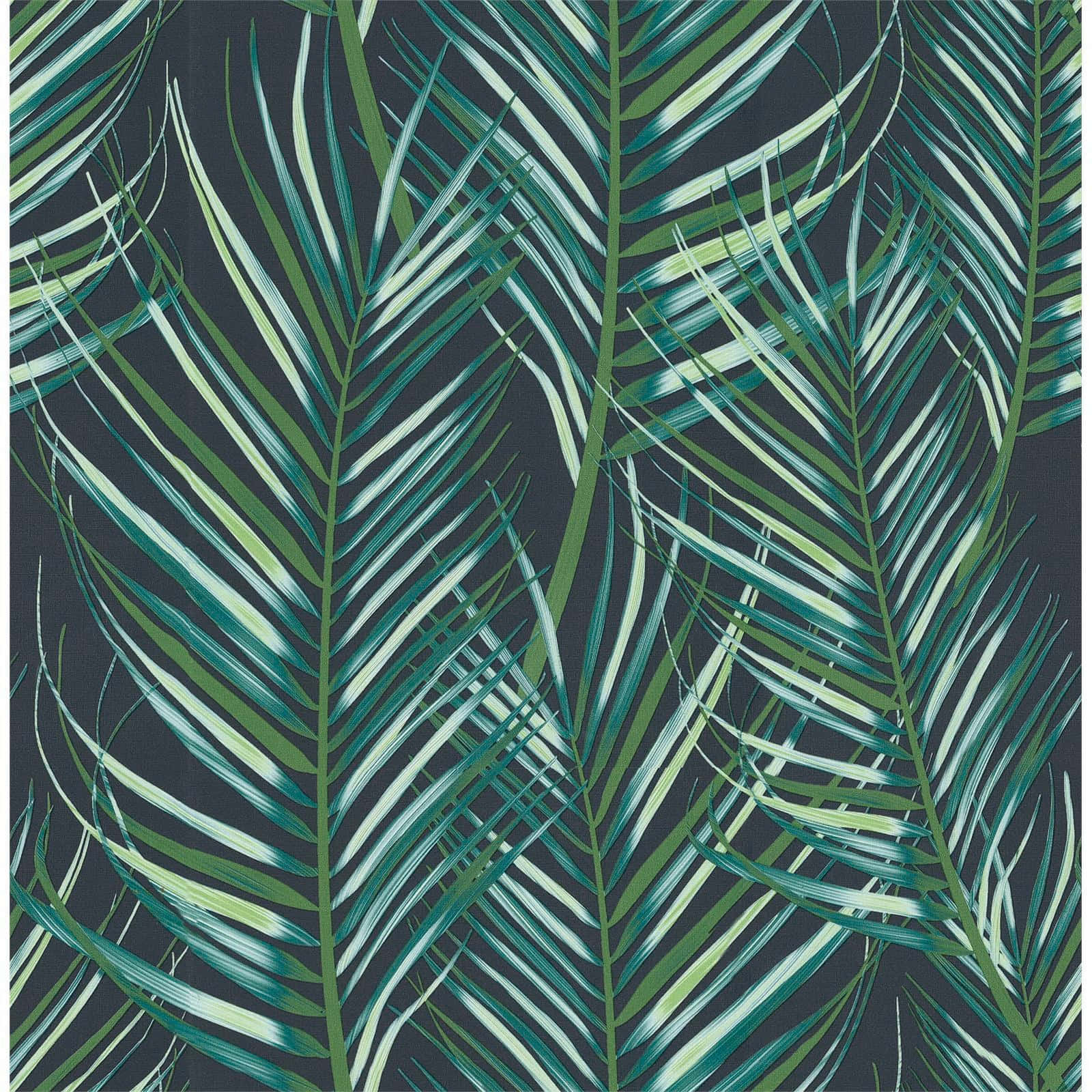 Tropical Leaves 桌布 壁紙 — 充滿活力的熱帶棕櫚葉以青綠色和萊姆綠色在深炭灰色背景上以大膽的重複圖案層疊。