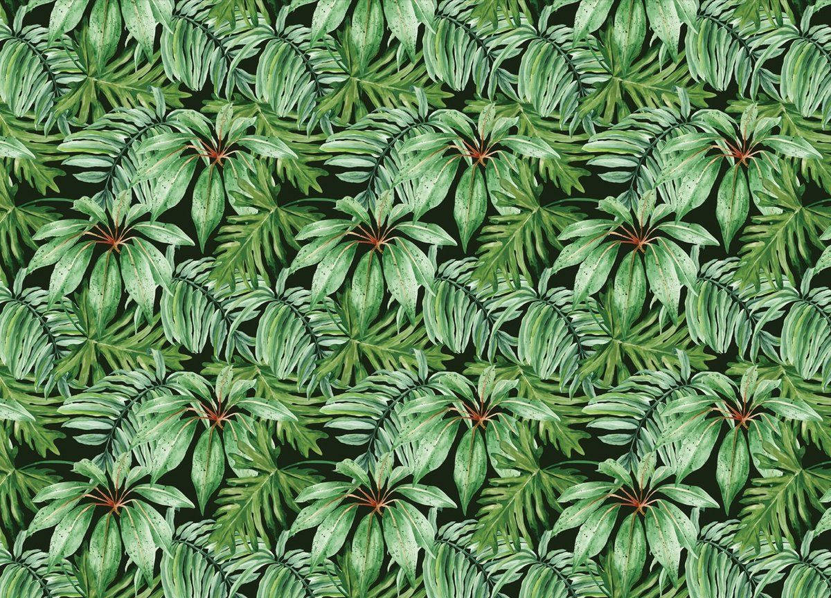 Banana Leaf 桌布 壁紙 — 充滿活力的熱帶樹葉以不同深淺的綠色在深色背景上形成茂密濃密的圖案。