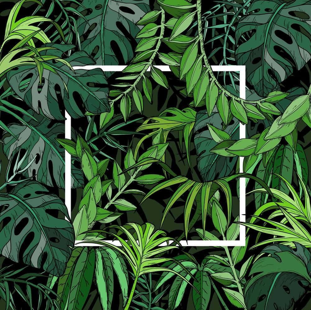 Palm Leaves 桌布 壁紙 — 充滿活力的熱帶樹葉插圖，以不同深淺的綠色圍繞著一個白色正方形，背景為深色。