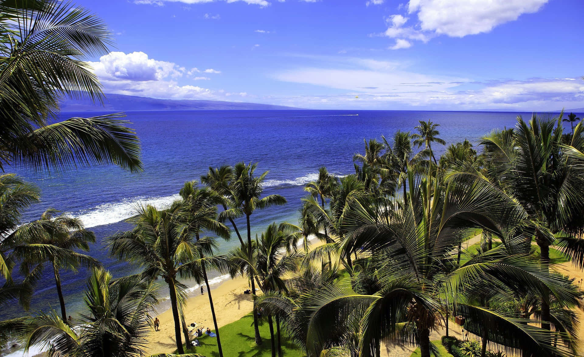 Aesthetic Hawaii 桌布 壁紙 — 充滿活力的熱帶海灘，在晴朗藍天和零星白雲下，被茂密的棕櫚樹環繞。