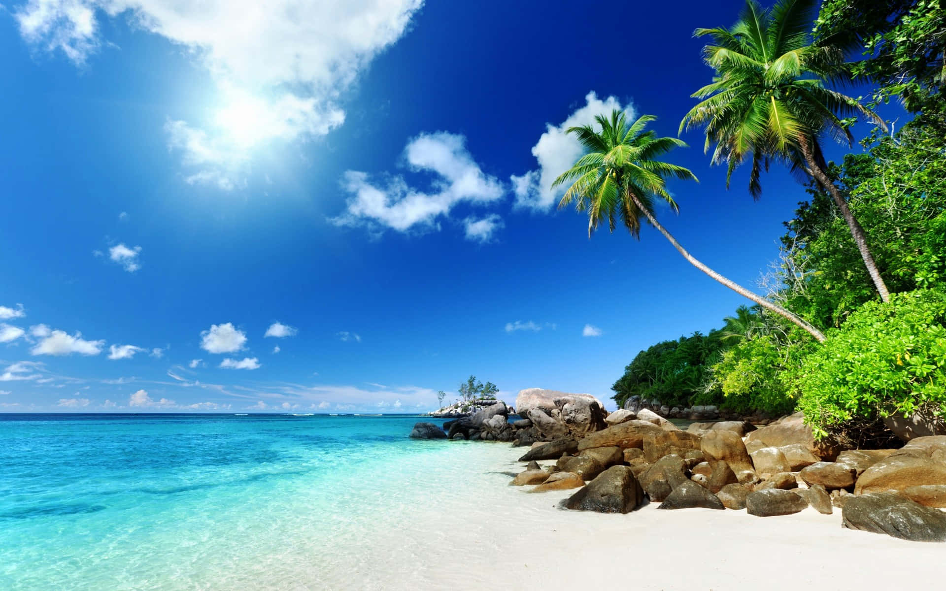 Caribbean Beach 桌布 壁紙 — 充滿活力的熱帶海灘，擁有碧綠的海水、白色的沙灘和茂密的綠色棕櫚樹，在明亮的藍天下。