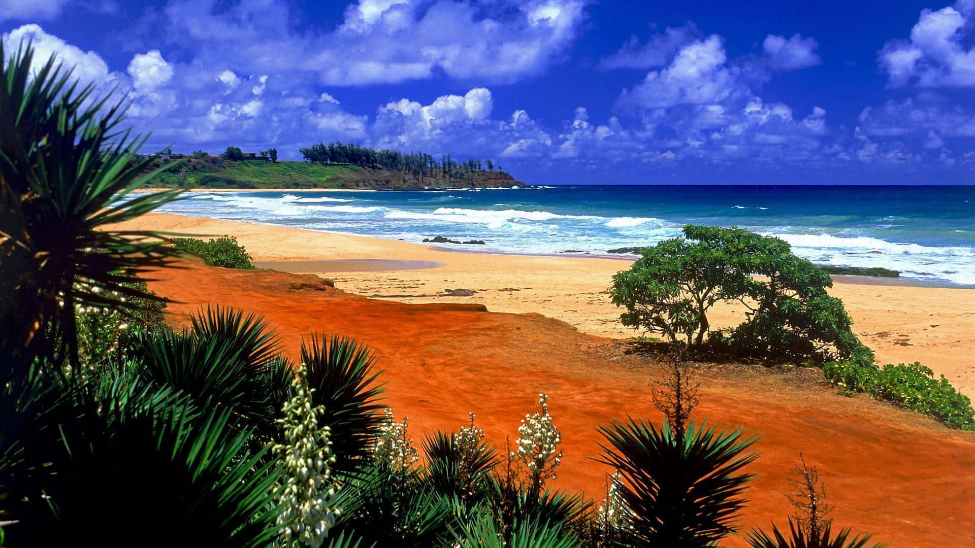 Hawaiian Beach 桌布 壁紙 — 充滿活力的熱帶海灘，有橙色沙灘、綠松石色海浪和茂密的綠色棕櫚樹，在明亮的藍天和蓬鬆的白雲下。