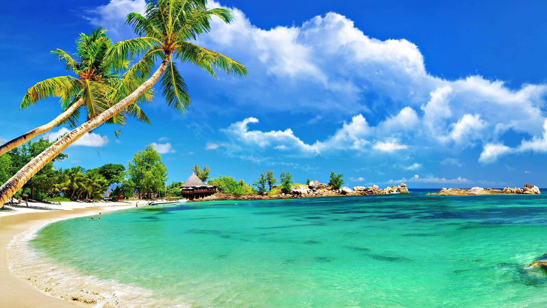 Beach Scene 桌布 壁紙 — 充滿活力的熱帶海灘，有碧綠的海水、棕櫚樹和茅草小屋，在明亮的藍天下有蓬鬆的雲朵。