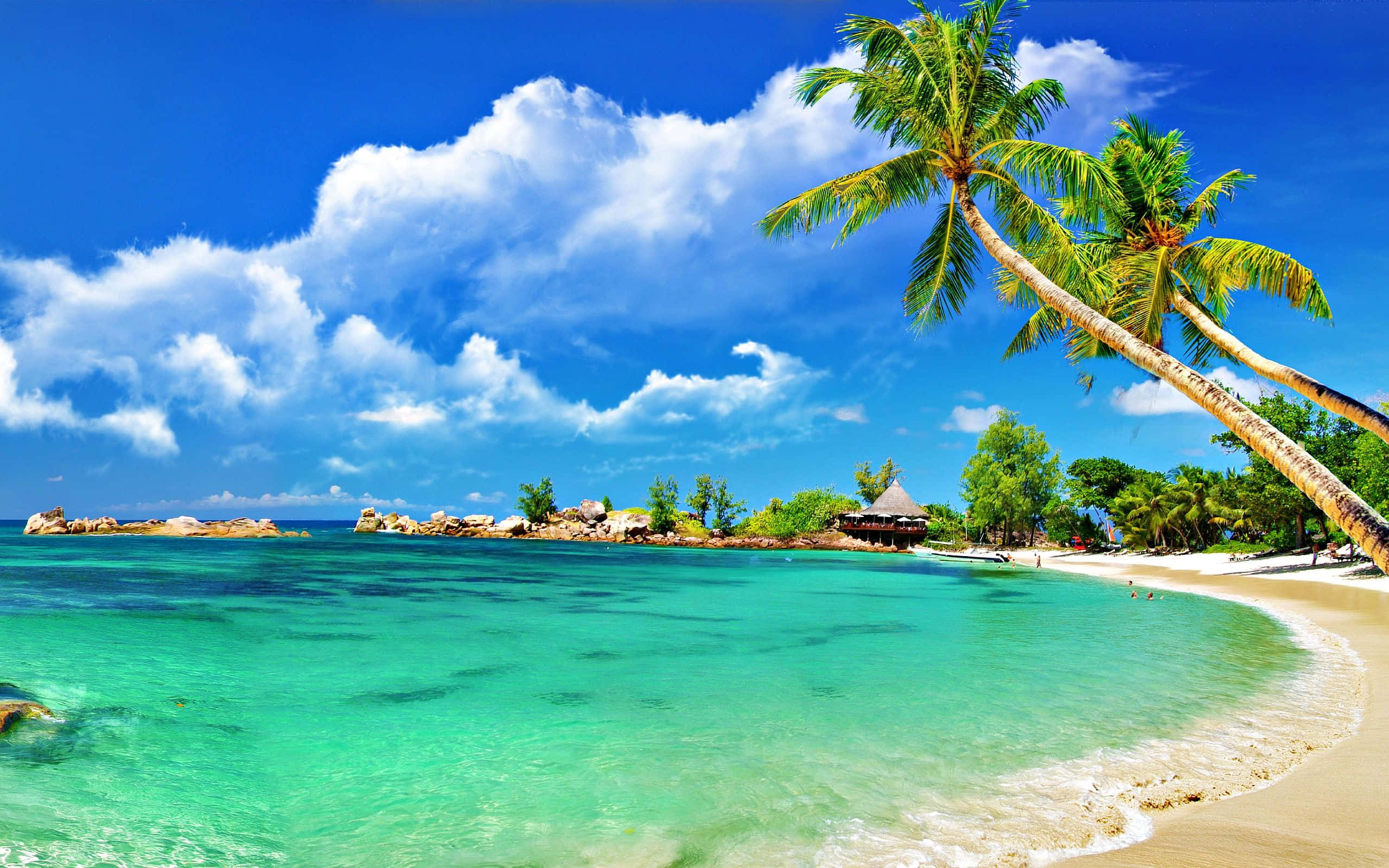 Beach Scene 桌布 壁紙 — 充滿活力的熱帶海灘，有碧綠的海水、溫柔的海浪、沙灘和棕櫚樹，在明亮的藍天和蓬鬆的白雲下搖曳。