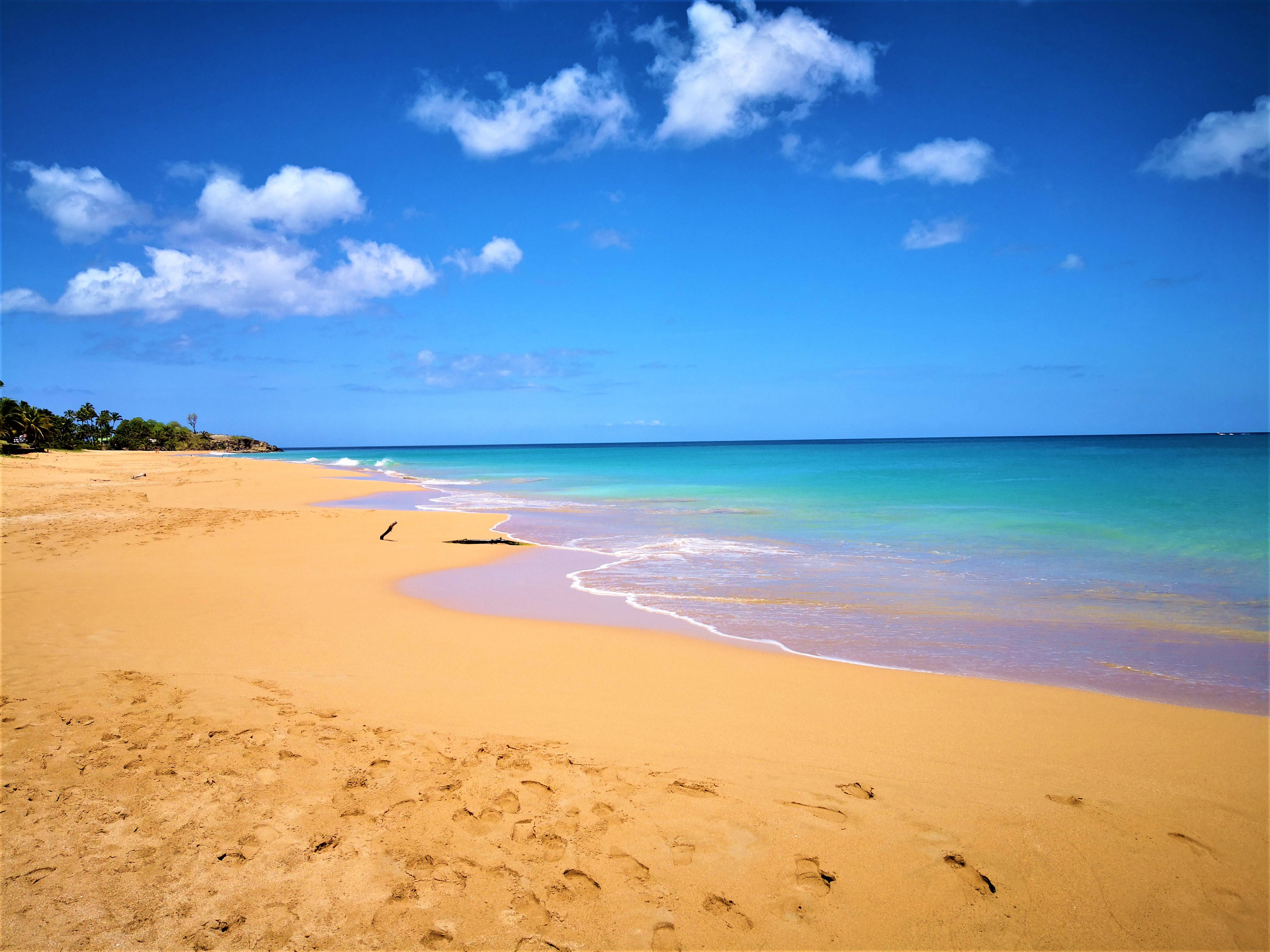 Guadeloupe 桌布 壁紙 — 充滿活力的熱帶海灘，金色沙灘腳印通往碧綠海浪，上方是明亮的藍天和蓬鬆的白雲。