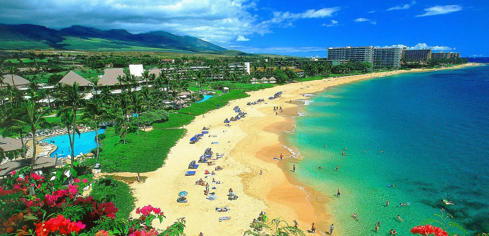 夏威夷 桌布 壁紙 — 充滿活力的熱帶海灘場景，有碧綠的海水、金色的沙灘、茂密的棕櫚樹和度假村建築，在明亮的藍天下。