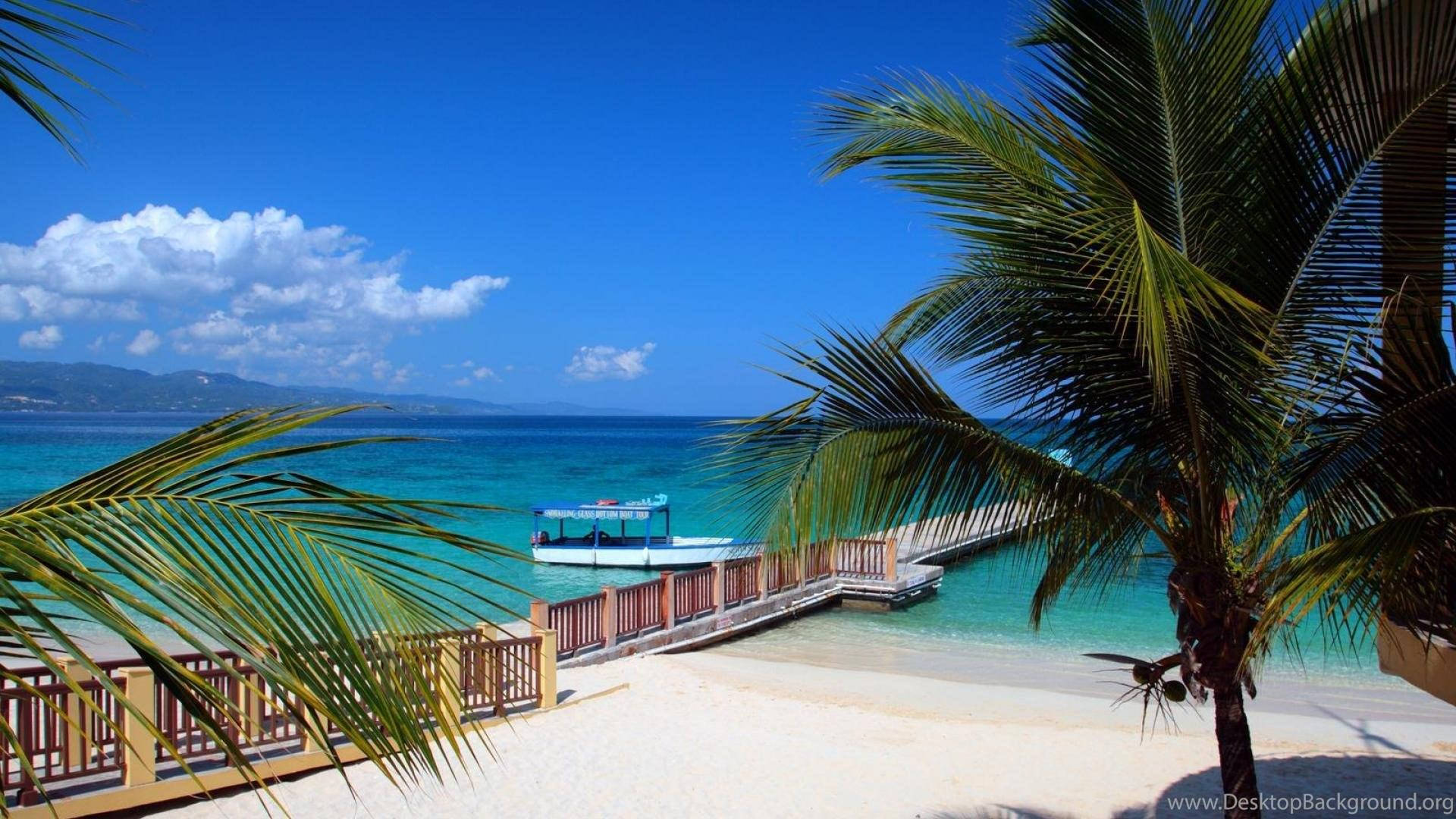 Jamaica 桌布 壁紙 — 充滿活力的熱帶海灘場景，有碧綠的海水、棕櫚樹和一個在明亮藍天下延伸入海的木製碼頭。