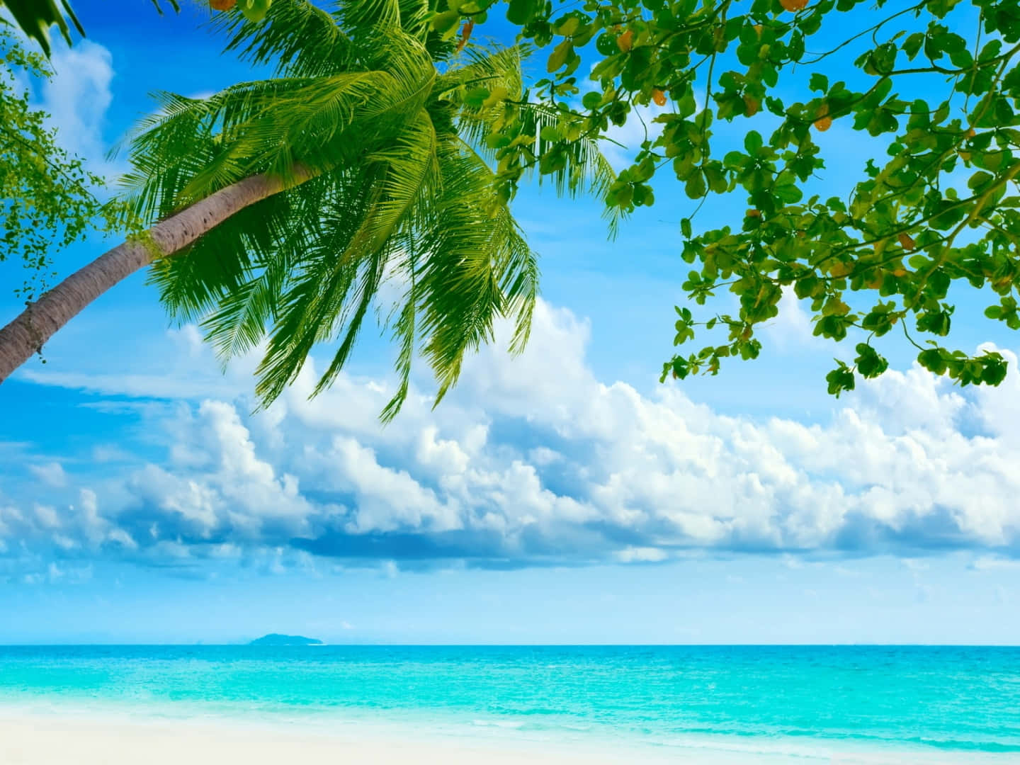 Relax 桌布 壁紙 — 充滿活力的熱帶海灘場景，有碧綠的海水、白色的沙灘和茂密的棕櫚樹，襯托著明亮的藍天和蓬鬆的雲朵。