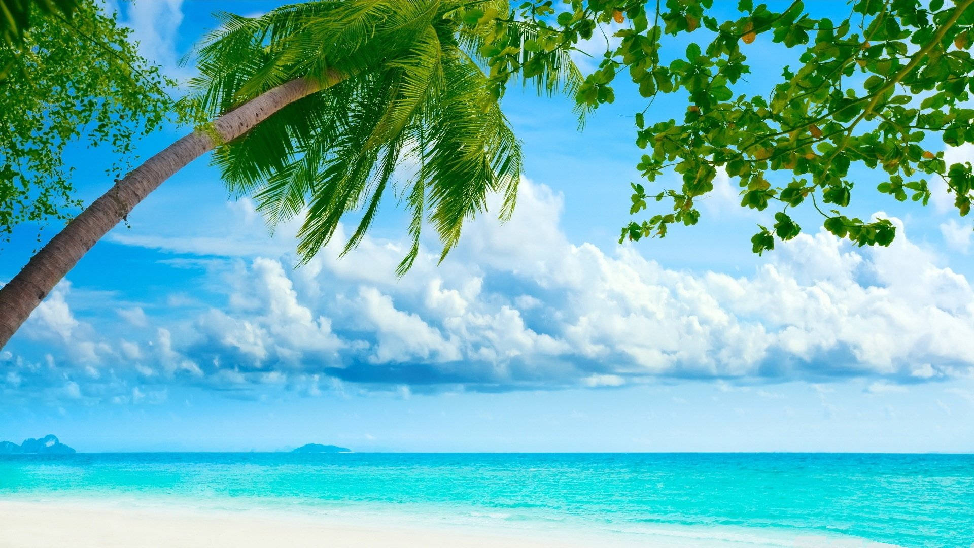 Tropical 桌布 壁紙 — 充滿活力的熱帶海灘場景，有碧綠的海水、白色的沙灘和一棵傾斜的棕櫚樹，襯托著藍天白雲。