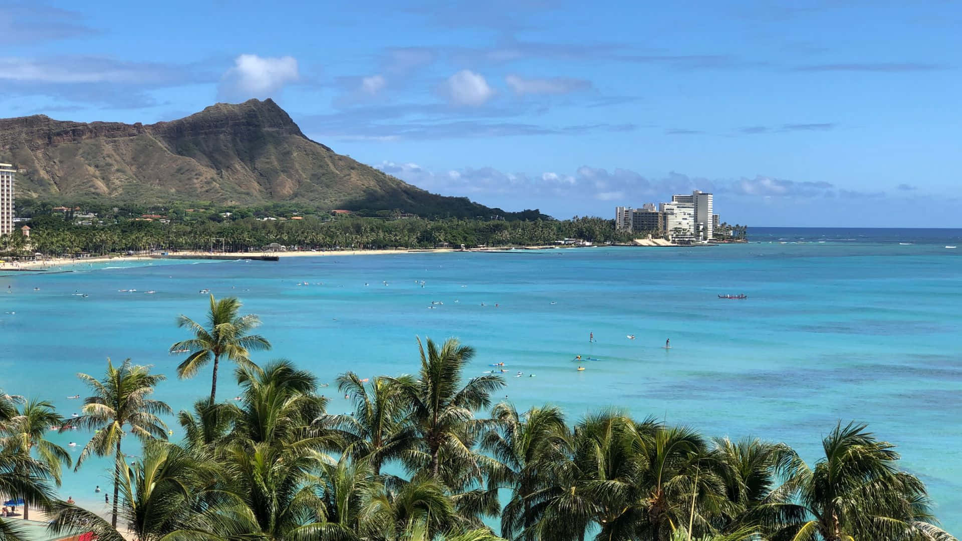 夏威夷 桌布 壁紙 — 充滿活力的熱帶海灘場景，有碧綠的海水、棕櫚樹和鑽石頭山，在明亮的藍天下。