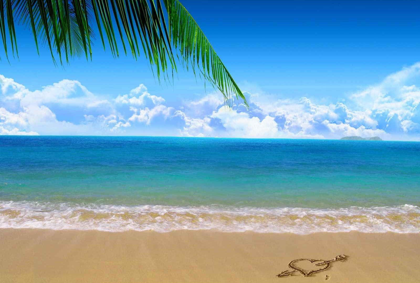 Beach Dual Monitor 桌布 壁紙 — 充滿活力的熱帶海灘場景，碧綠的海浪拍打著金色沙灘，明亮的藍天下有茂密的綠色棕櫚葉作為框架。