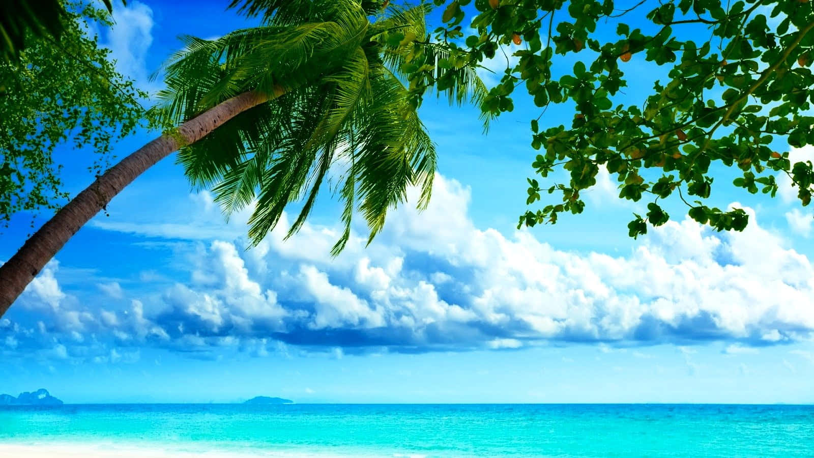 海灘 桌布 壁紙 — 充滿活力的熱帶海灘場景，碧綠的海水在明亮的藍天下，點綴著蓬鬆的白雲，並由茂密的綠色棕櫚葉框住。