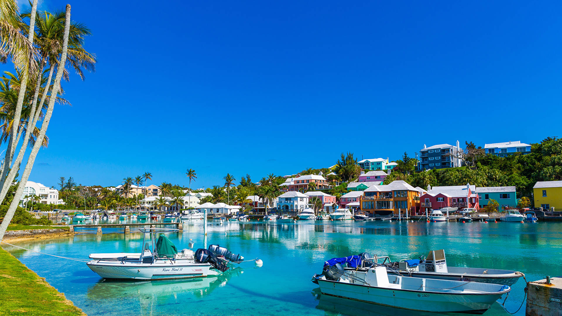 Bermuda 桌布 壁紙 — 充滿活力的熱帶港口，色彩繽紛的房屋坐落在山坡上，俯瞰著點綴著小船、清澈碧藍的海水，天空晴朗蔚藍。