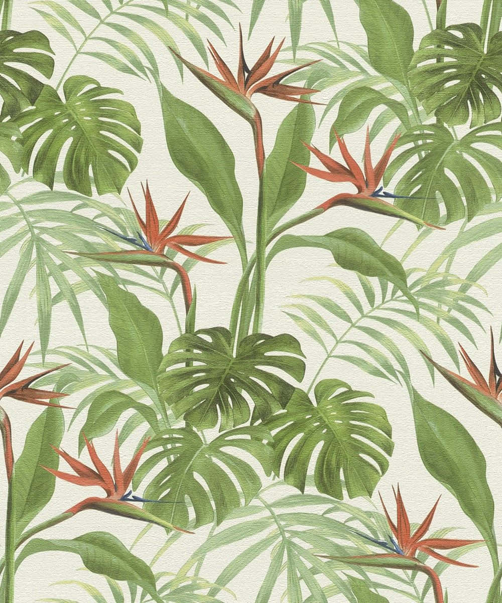 Tropical Aesthetic 桌布 壁紙 — 充滿活力的熱帶葉子，帶有鮮豔的紅色天堂鳥花和茂盛的綠色龜背竹葉，在奶油色背景上。