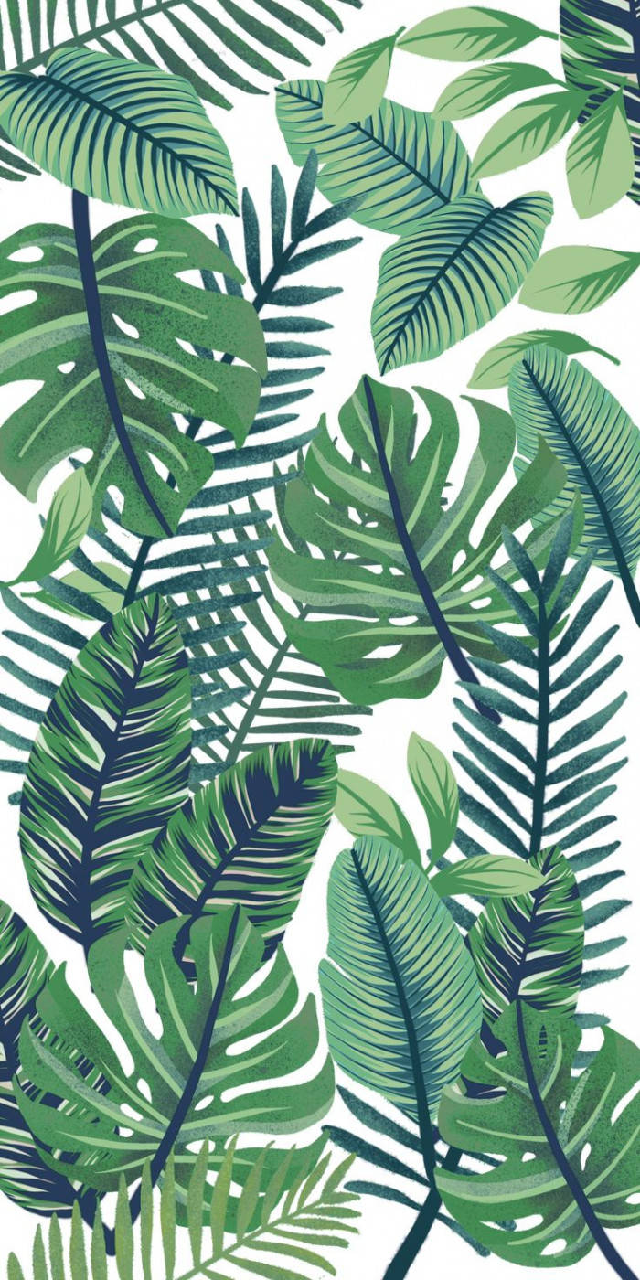 Green Leaves 桌布 壁紙 — 充滿活力的熱帶葉子以各種綠色色調在純白背景上形成茂密濃密的圖案。
