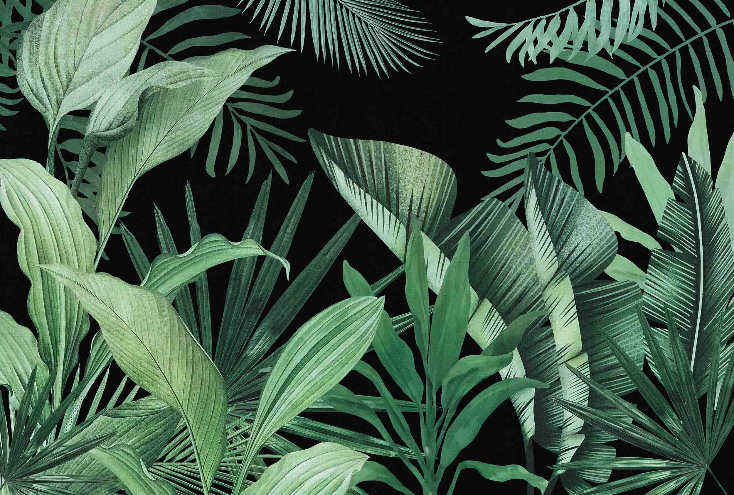 Tropical 桌布 壁紙 — 充滿活力的熱帶葉子以各種綠色色調層疊在純黑色背景上，營造出茂密濃密的叢林圖案。