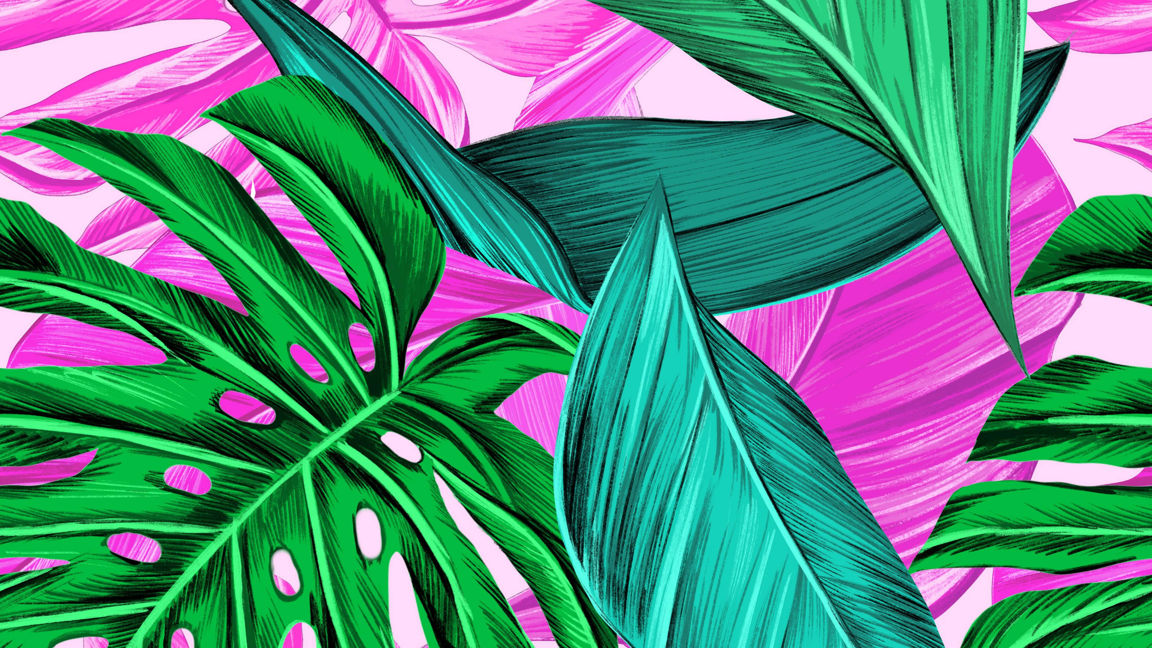 桌布 壁紙 — 充滿活力的熱帶葉片以電光綠和藍綠色在鮮豔的粉紅色背景上形成對比，帶有素描風格的線條藝術。