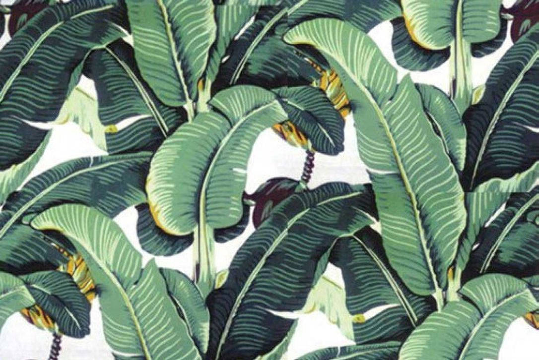 Banana Leaf 桌布 壁紙 — 充滿活力的熱帶香蕉葉，帶有深綠色葉脈和黃色點綴，在純白背景上形成茂密濃密的圖案。