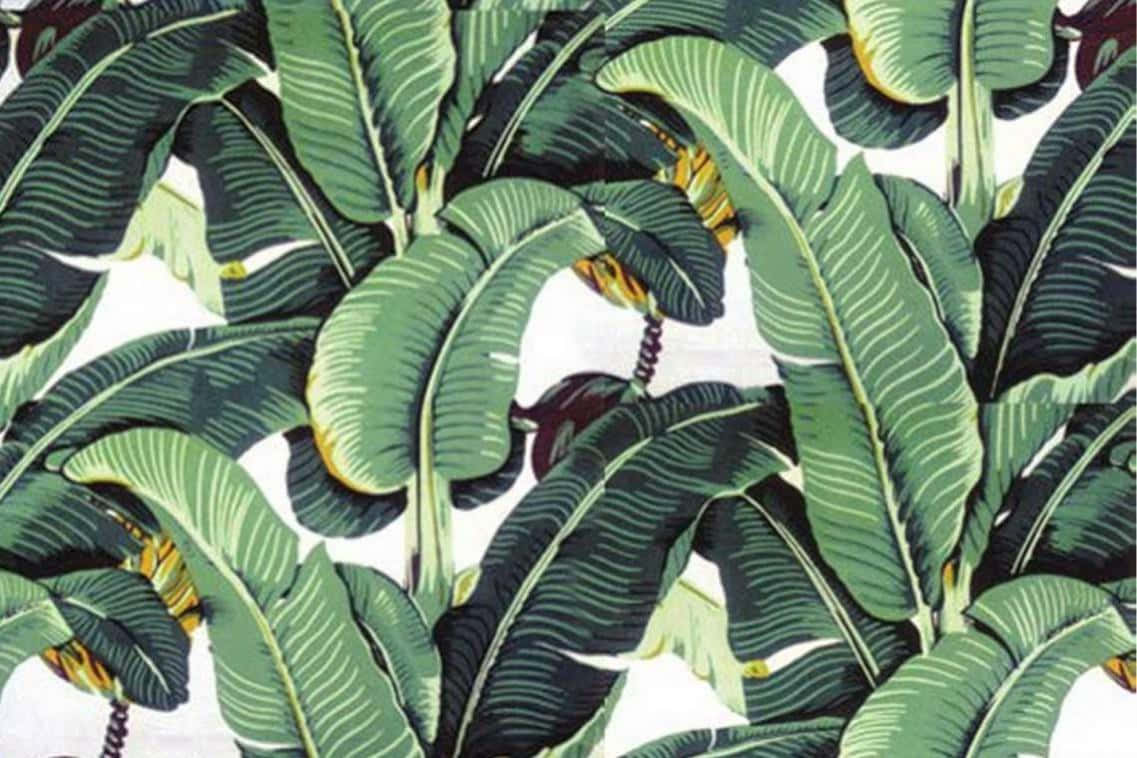 Aesthetic Palm Leaves 桌布 壁紙 — 充滿活力的熱帶香蕉葉帶有黃色點綴，在純白背景上重疊，形成大膽的圖案。