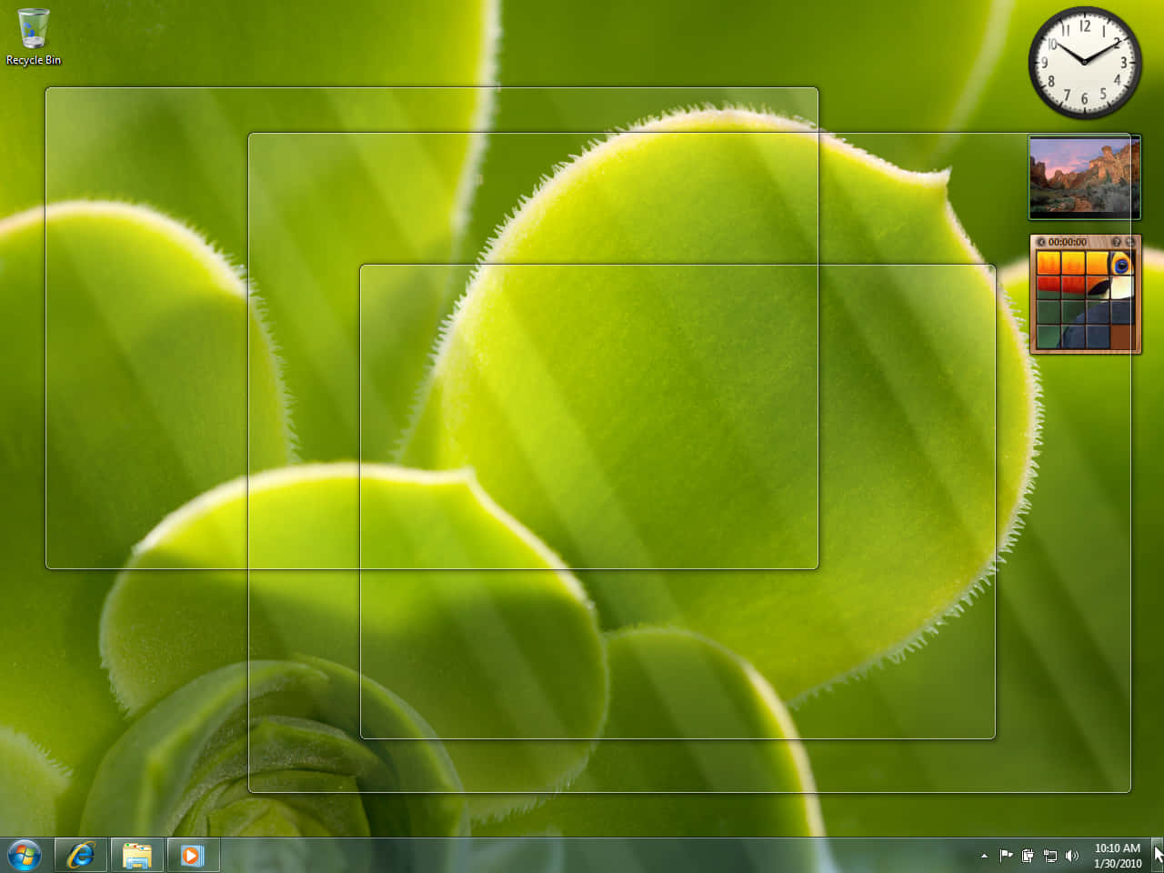 Windows 7 桌布 壁紙 — 充滿活力的特寫，模糊的綠色多肉植物葉片，柔和光線和數位桌面介面疊加。