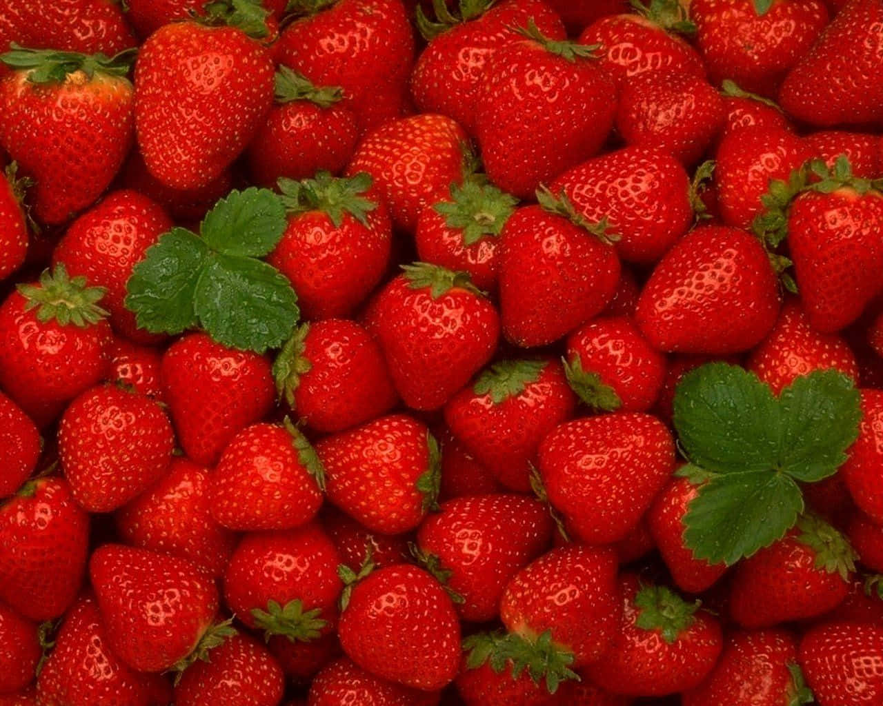 Red Strawberry 桌布 壁紙 — 充滿活力的特寫，飽滿的紅色草莓之間夾雜著綠葉。