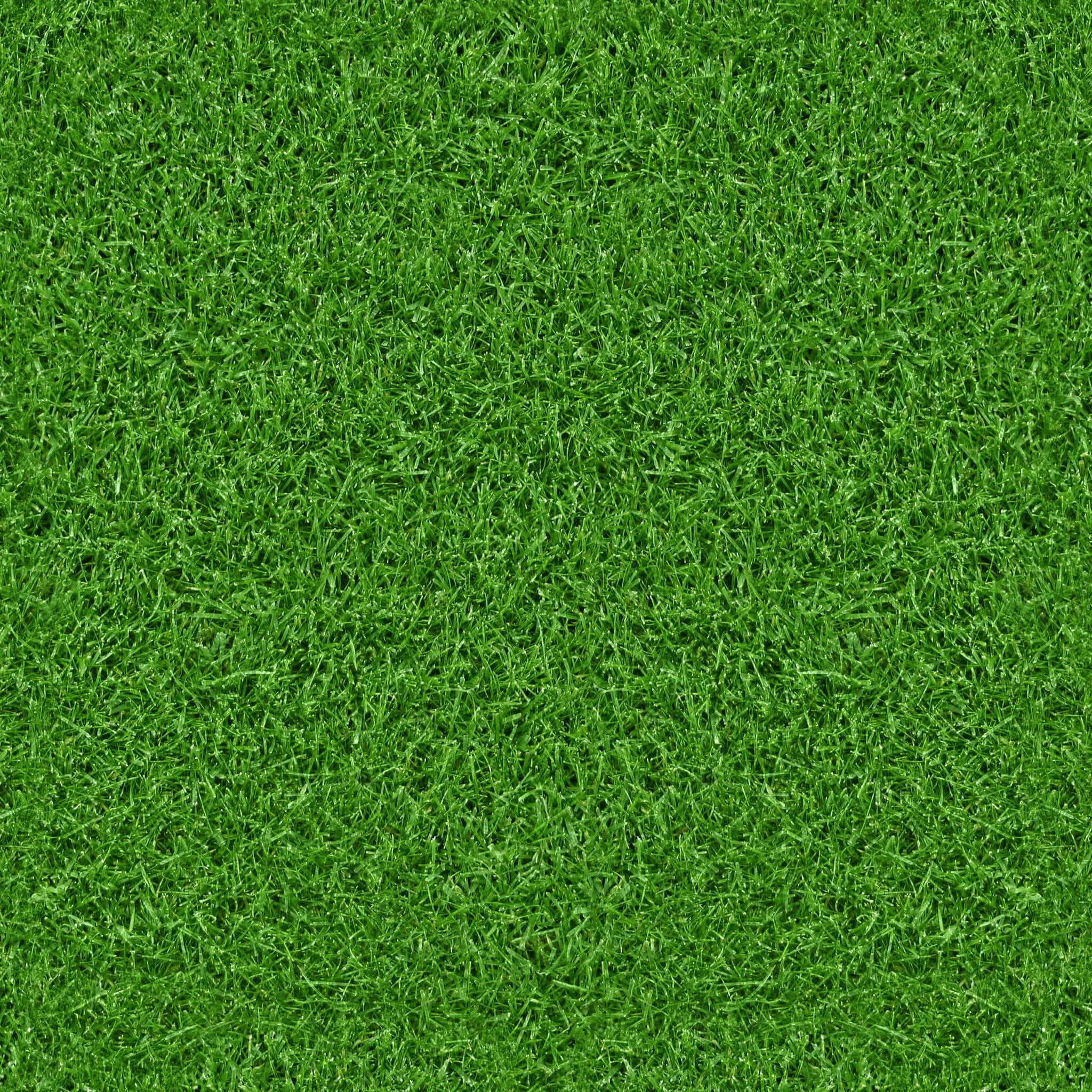 Grass Texture 桌布 壁紙 — 充滿活力的特寫鏡頭，呈現茂密綠草葉片，帶有自然紋理和微妙的色調變化。