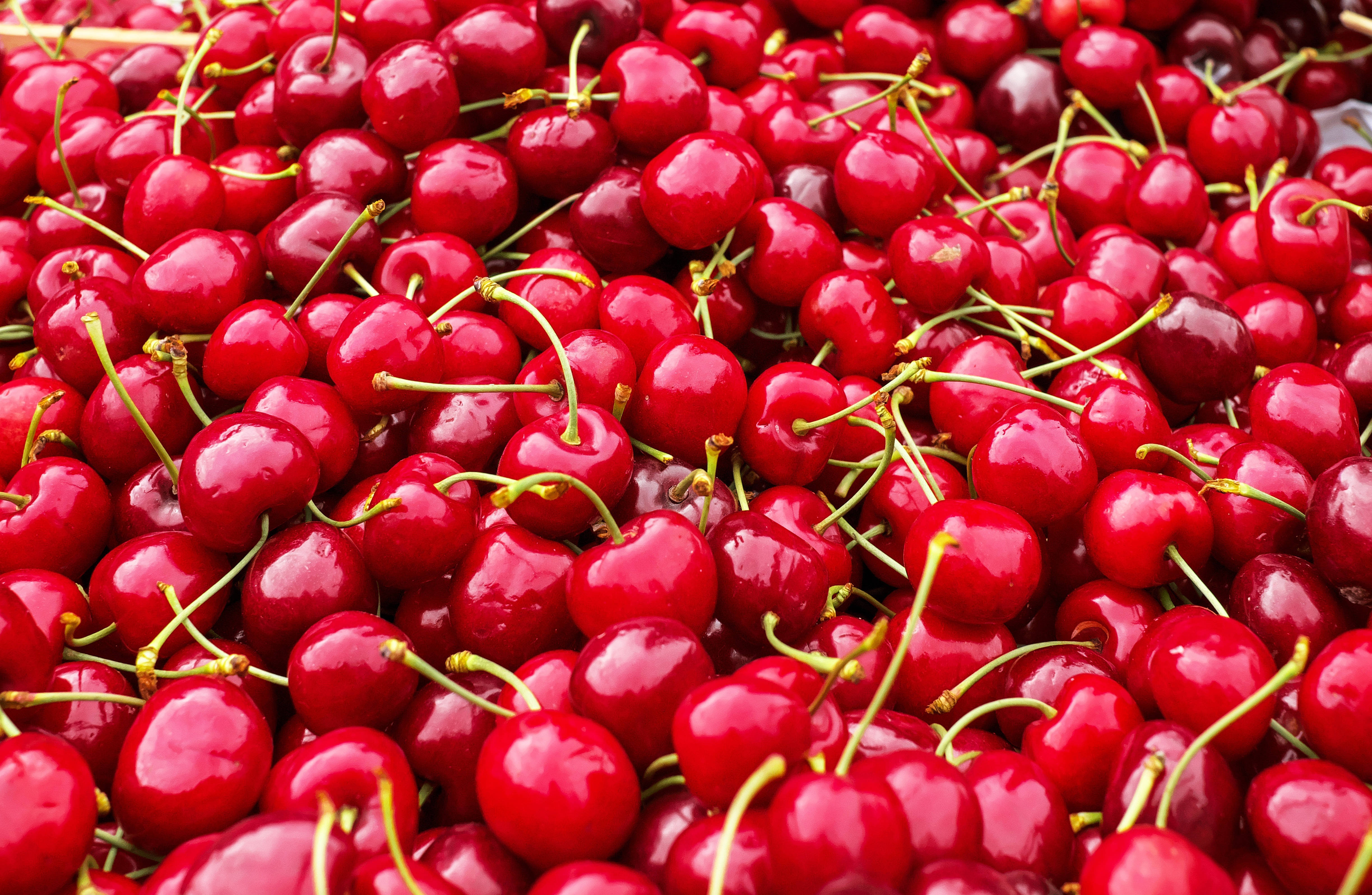 Cherry 桌布 壁紙 — 充滿活力的特寫鏡頭，多汁光澤的紅櫻桃帶著綠色莖梗堆疊在一起。