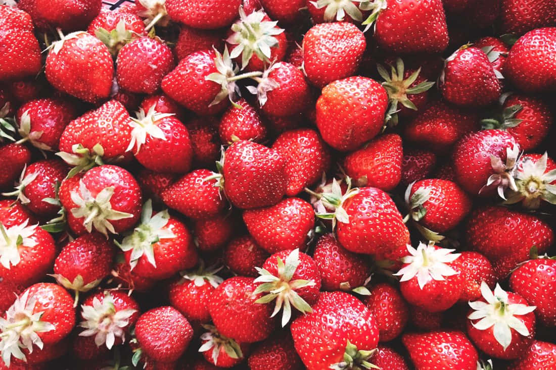 Strawberries 桌布 壁紙 — 充滿活力的特寫鏡頭，多汁成熟的草莓閃爍著露珠和綠色葉子。
