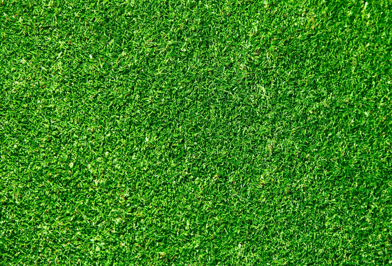 Grass Texture 桌布 壁紙 — 充滿活力的特寫鏡頭，展現茂密綠草葉片，帶有自然紋理和微妙的色調變化。