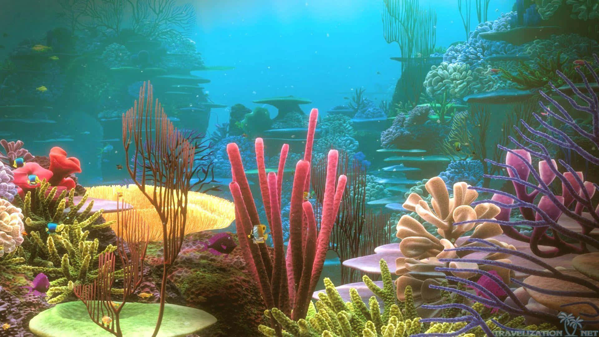 coral 桌布 壁紙 — 充滿活力的珊瑚礁，在陽光照射的碧綠海水下，有色彩繽紛的海扇和發光的魚類。