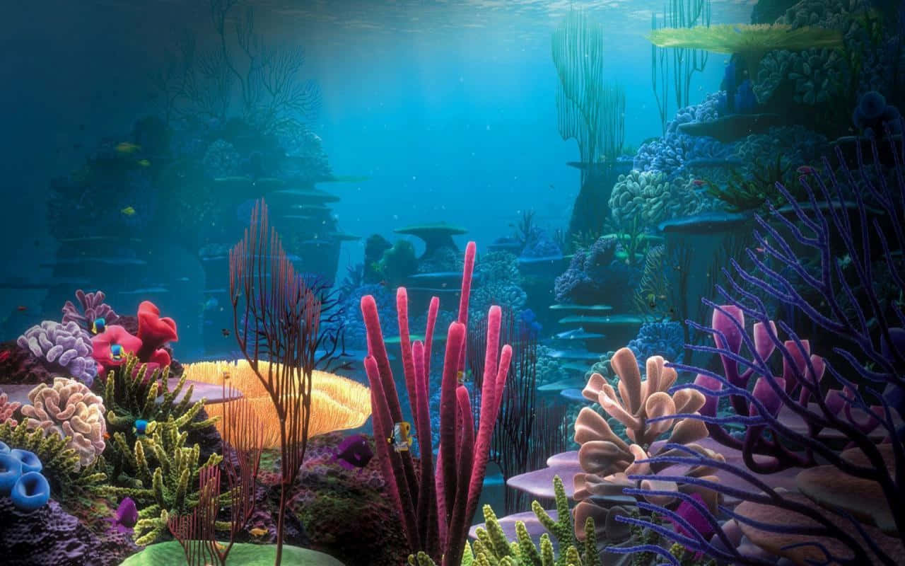coral 桌布 壁紙 — 充滿活力的珊瑚礁，色彩繽紛的海洋生物在藍色水下陽光中沐浴。