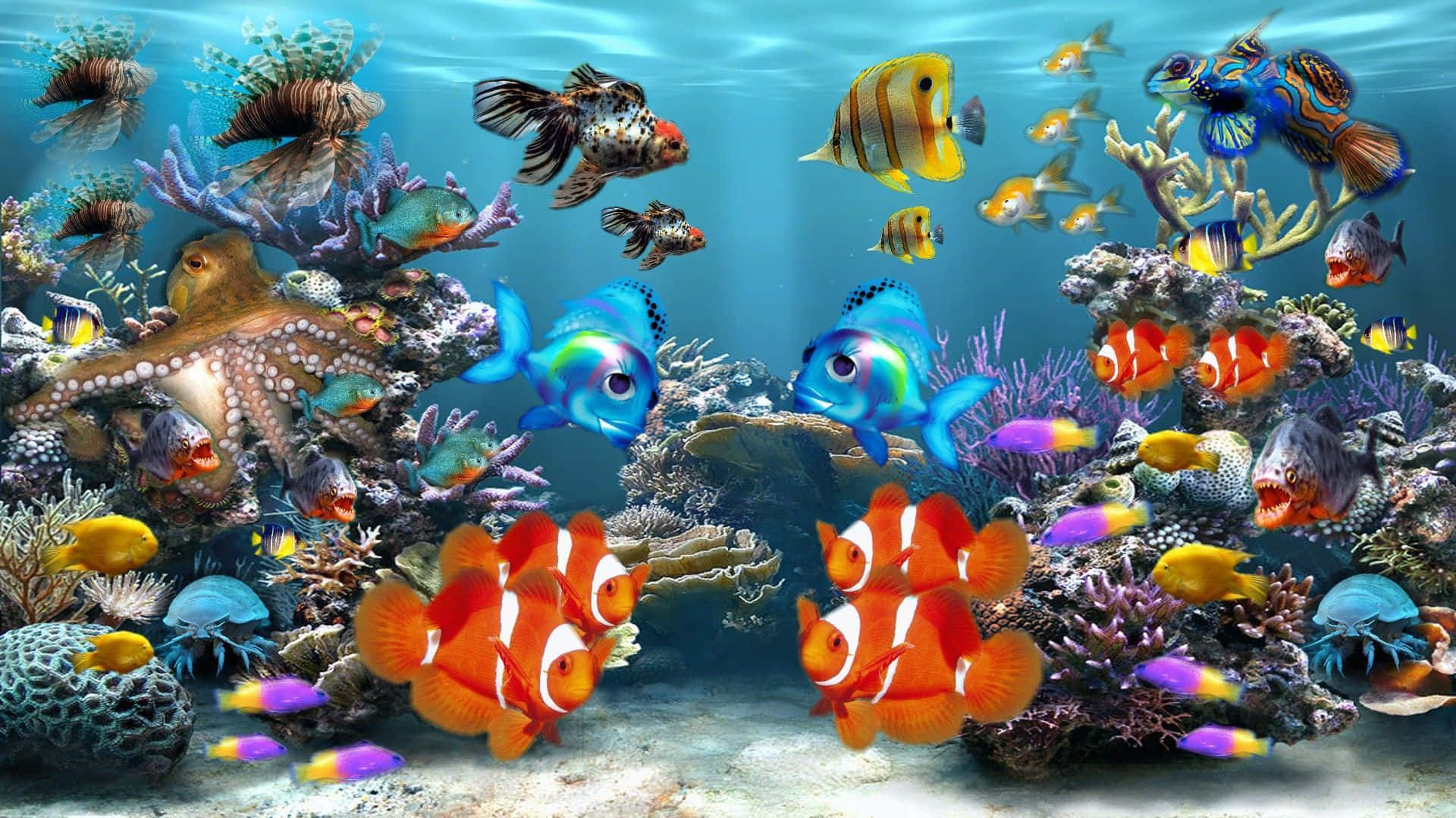 魚 桌布 壁紙 — 充滿活力的珊瑚礁，色彩繽紛的熱帶魚和章魚在清澈的藍色海水下。