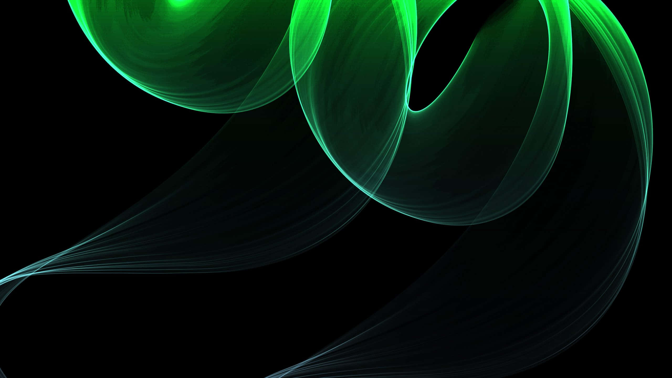 Green And Black 桌布 壁紙 — 充滿活力的發光綠色流體絲帶在深黑色背景上動態旋轉。