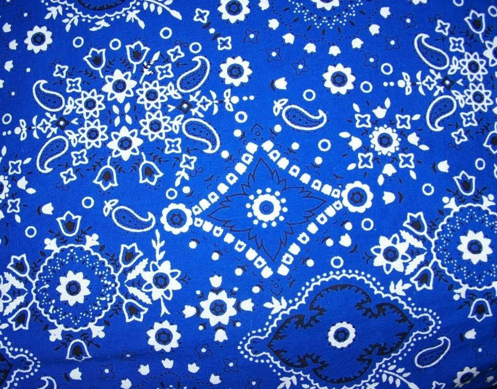 bandana 桌布 壁紙 — 充滿活力的皇家藍色布料，飾有複雜的白色佩斯利和花卉圖案，重複設計。