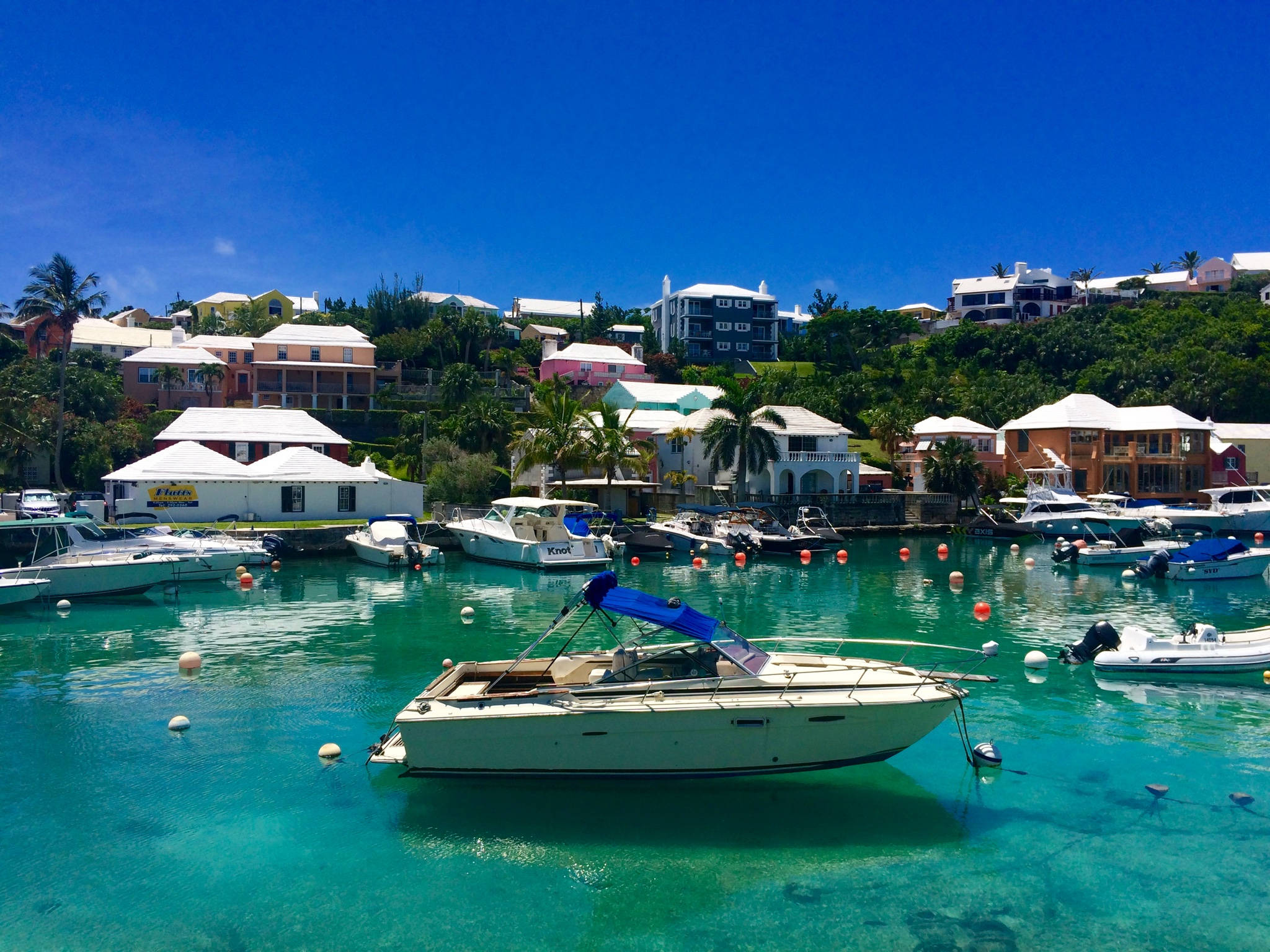 Bermuda 桌布 壁紙 — 充滿活力的碧綠海水懷抱著白色船隻，在陽光明媚的港灣中，四周環繞著色彩繽紛的山坡房屋和茂密的綠植。