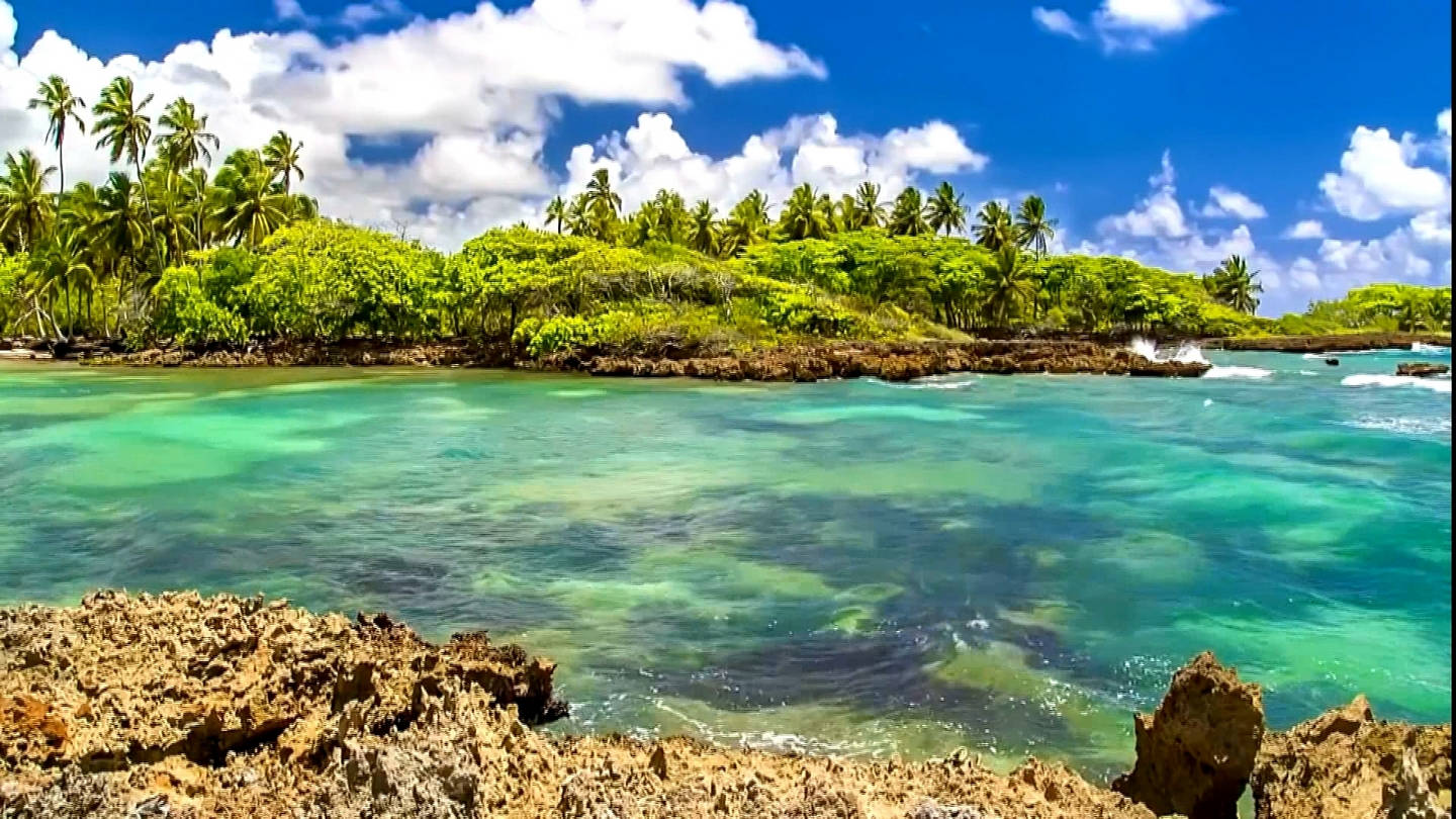 Marshall Island 桌布 壁紙 — 充滿活力的碧綠海水拍打岩石海岸，旁邊是棕櫚樹環繞的茂密綠色島嶼，在明亮的藍天下。