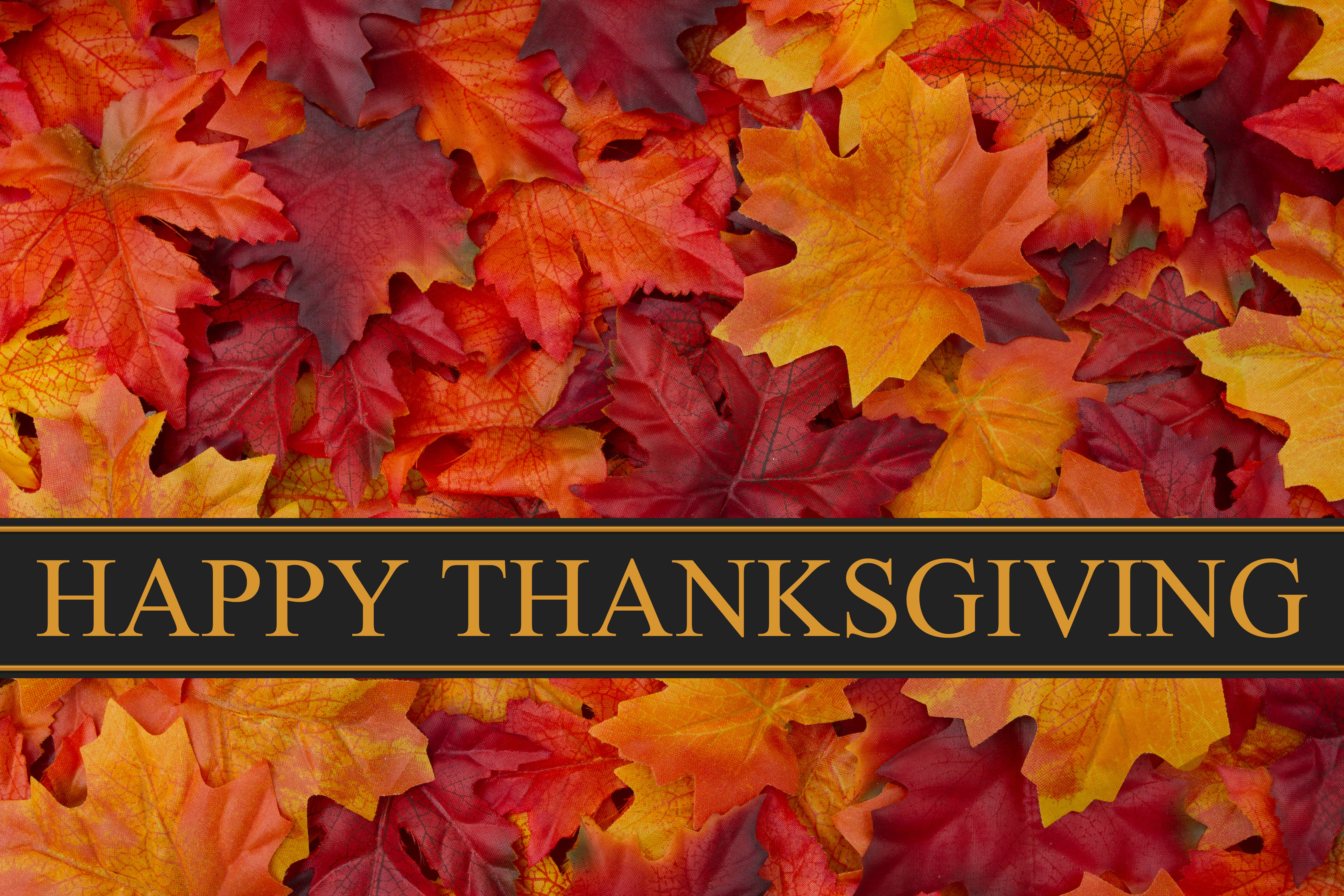 Happy Thanksgiving 桌布 壁紙 — 充滿活力的秋天楓葉，呈現紅、橙、黃色調，環繞著一個帶有金色「HAPPY THANKSGIVING」文字的黑色橫幅。