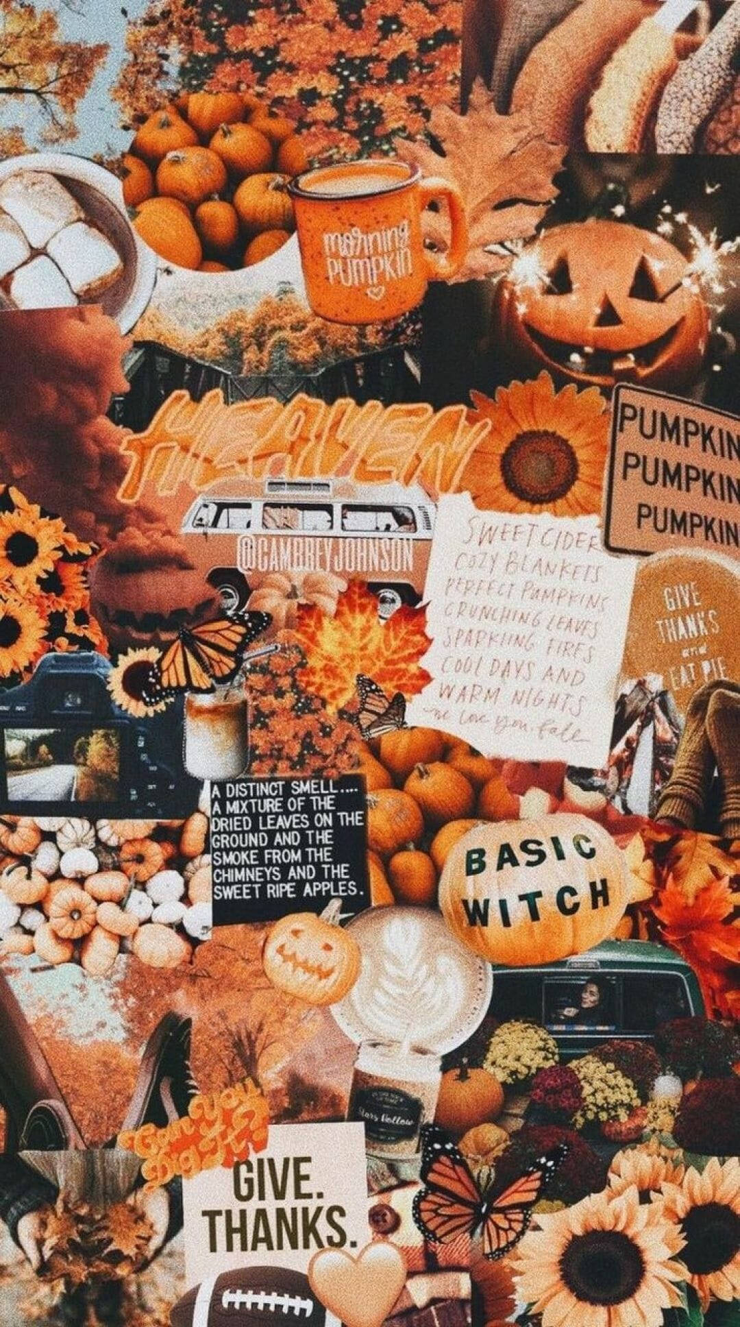 Cute October 桌布 壁紙 — 充滿活力的秋季拼貼畫， featuring 南瓜、向日葵、蝴蝶和舒適的秋季主題文字元素。