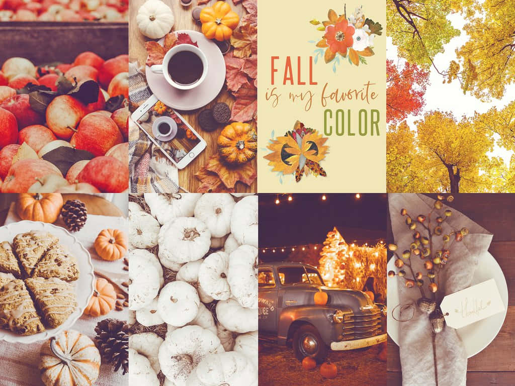Autumn Collage 桌布 壁紙 — 充滿活力的秋季拼貼畫， featuring 南瓜、蘋果、蘋果酒和溫暖金色調的舒適秋季裝飾。