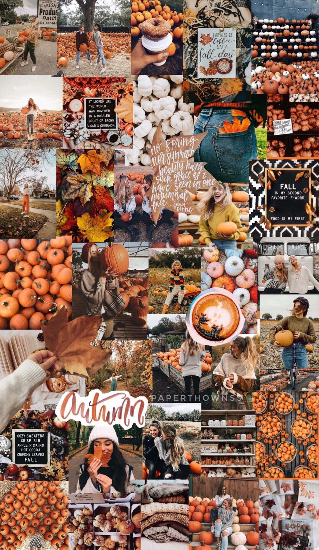 Cute Autumn 桌布 壁紙 — 充滿活力的秋季拼貼畫，以南瓜、樹葉、舒適的服裝和季節性語錄為特色，採用溫暖的大地色調。