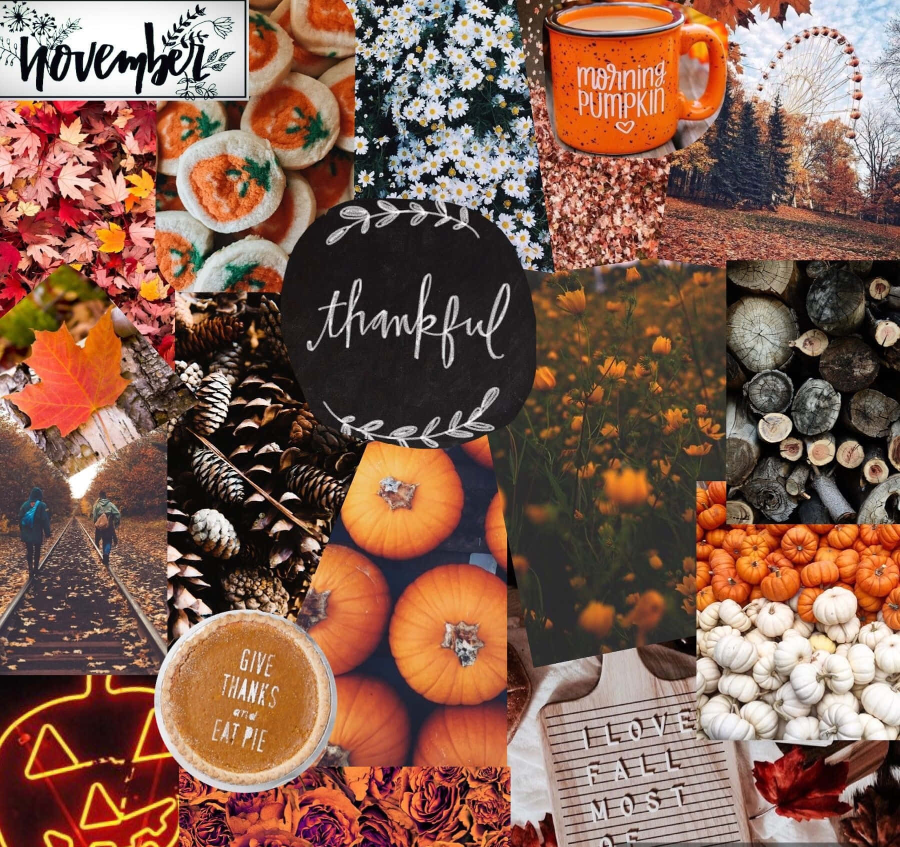 Autumn Collage 桌布 壁紙 — 充滿活力的秋季拼貼畫，包含南瓜、松果、楓葉和舒適的秋季主題文字元素。