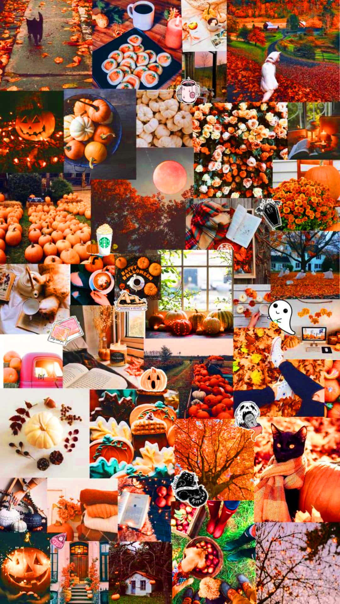 Cute Autumn 桌布 壁紙 — 充滿活力的秋季拼貼畫，包含南瓜、傑克燈籠、落葉、舒適的室內裝飾和萬聖節裝飾，採用溫暖的橙色、紅色和金色色調。