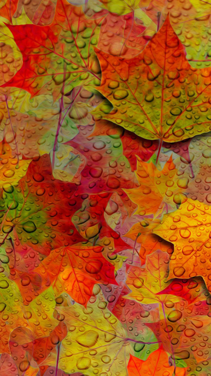 Leaves 桌布 壁紙 — 充滿活力的秋季楓葉，呈現火紅、橙黃色，閃爍著露珠，營造出豐富的紋理掛毯。
