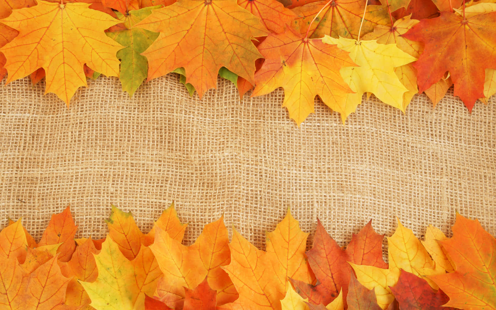 Fall Leaf 桌布 壁紙 — 充滿活力的秋季楓葉，橙色、黃色和紅色，框住有紋理的粗麻布背景。