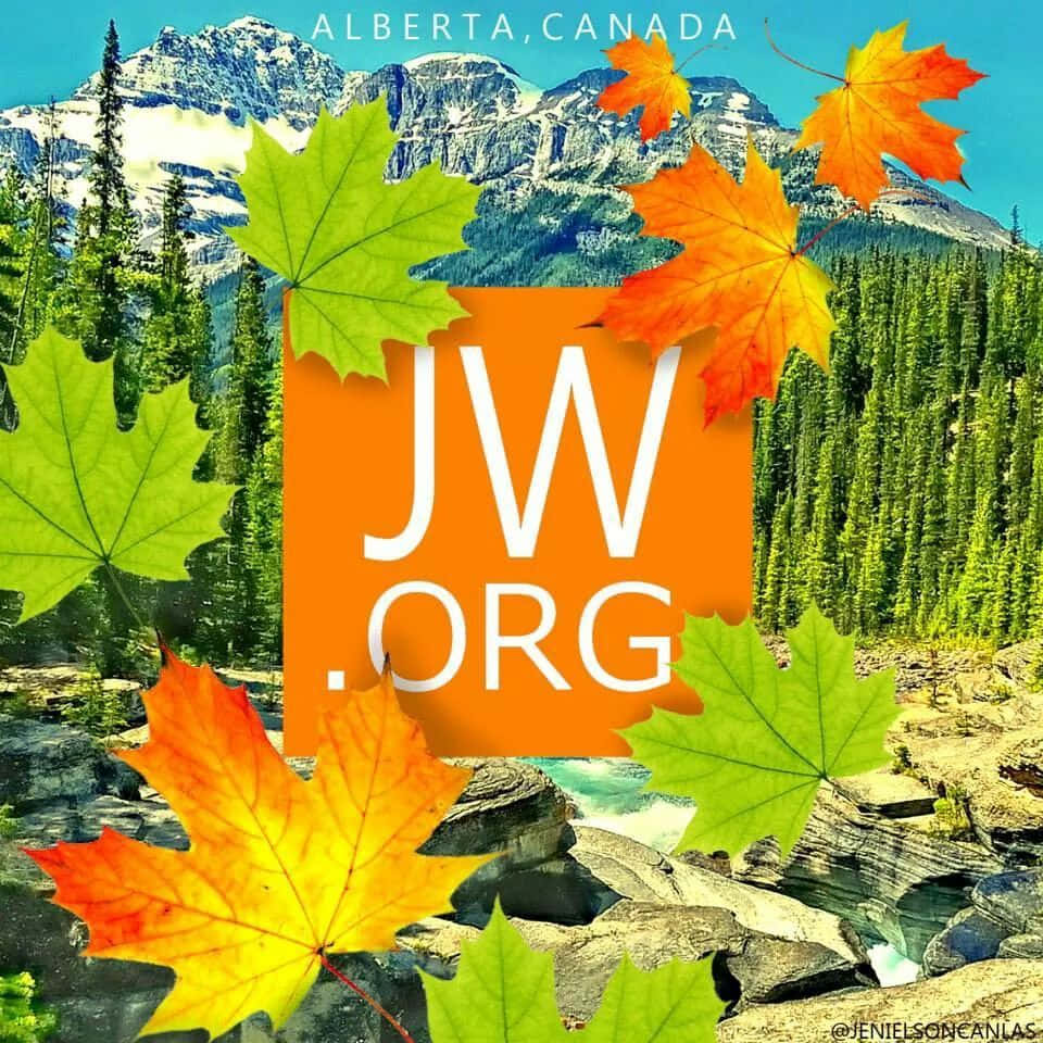 Maple 桌布 壁紙 — 充滿活力的秋季楓葉框住JW.ORG標誌，背景是加拿大亞伯達省白雪覆蓋的山脈和森林山谷。