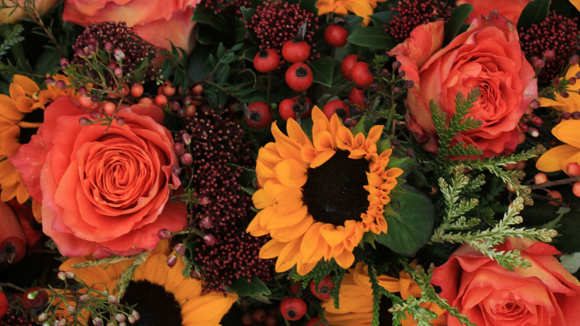 Roses 桌布 壁紙 — 充滿活力的秋季花卉佈置，以橙色玫瑰、向日葵和紅莓點綴在綠葉之間。