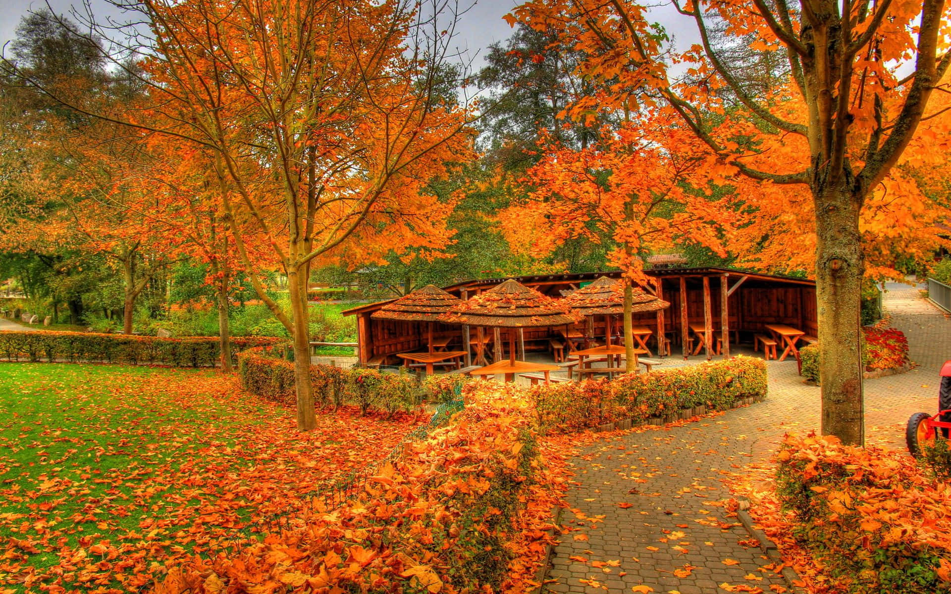 森林 桌布 壁紙 — 充滿活力的秋日公園場景，火紅的橙色樹葉覆蓋地面，木製涼亭隱藏在樹木之間。