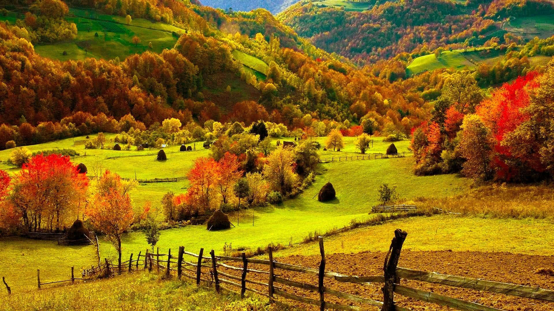 hill view 桌布 壁紙 — 充滿活力的秋日山丘在金色陽光下起伏，火紅橙色的樹木和點綴著乾草捆和木柵欄的綠色草地。