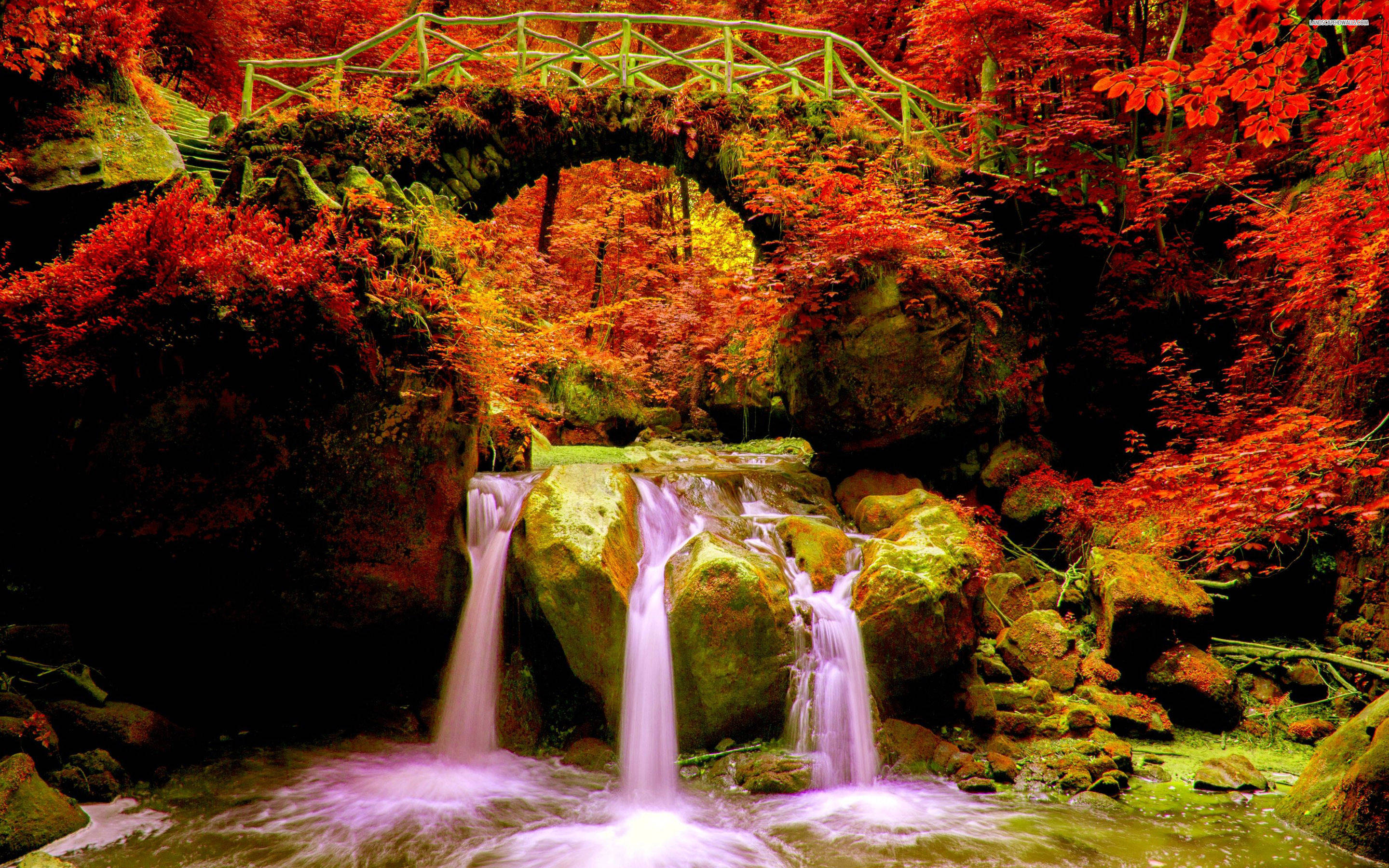 Autumn Season 桌布 壁紙 — 充滿活力的秋日森林，一座長滿苔蘚的石橋拱跨在瀑布之上，周圍是火紅和橙色的樹葉。